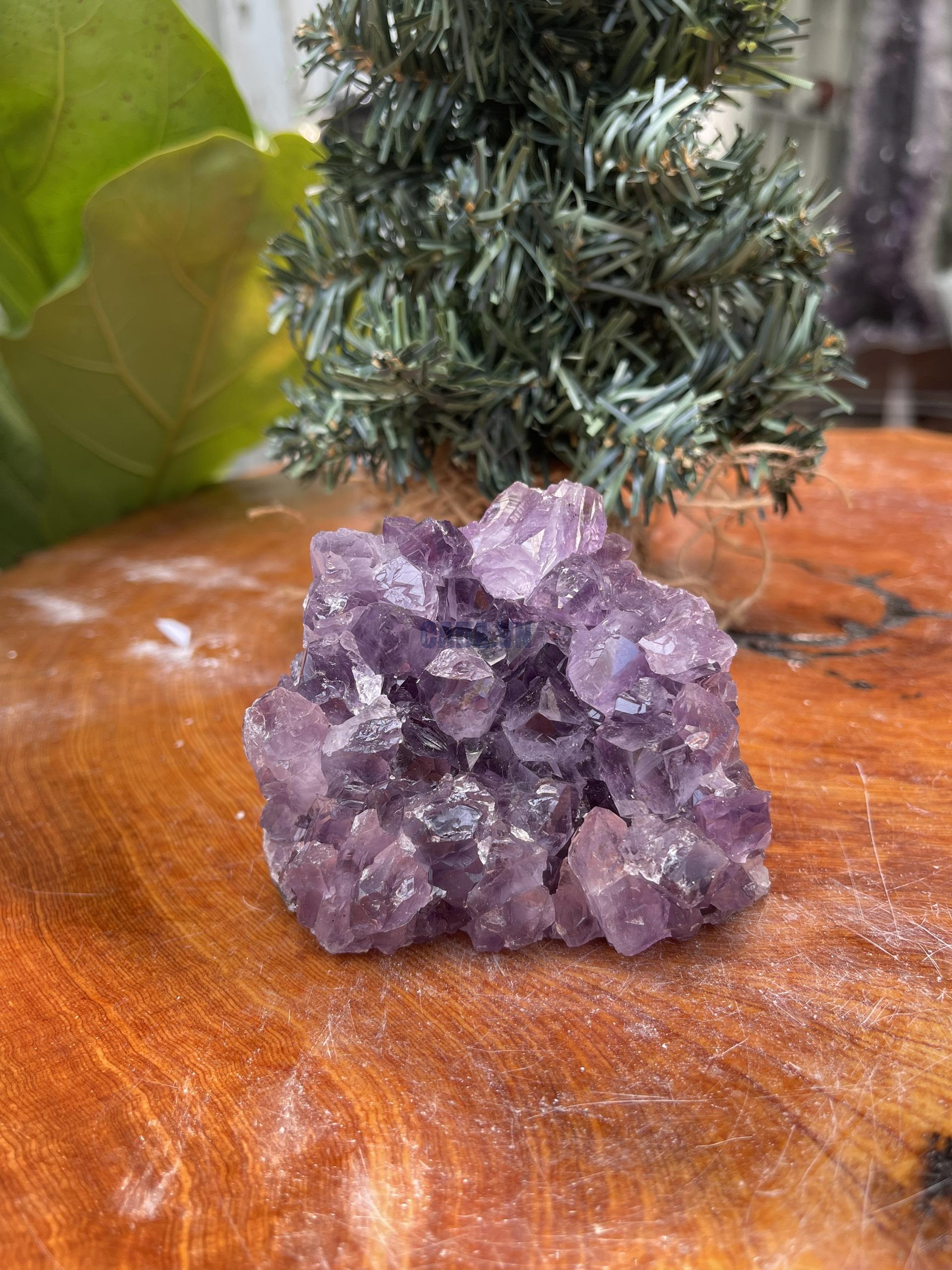 HỐC THẠCH ANH TÍM NHỎ – SMALL AMETHYST GEODE (TV339), KL: 0.540KG, KT: 7×9 CM