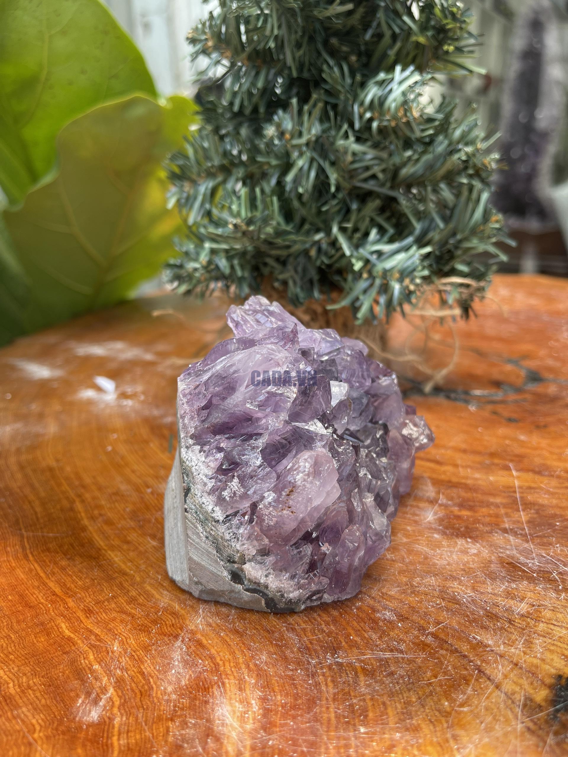 HỐC THẠCH ANH TÍM NHỎ – SMALL AMETHYST GEODE (TV339), KL: 0.540KG, KT: 7×9 CM