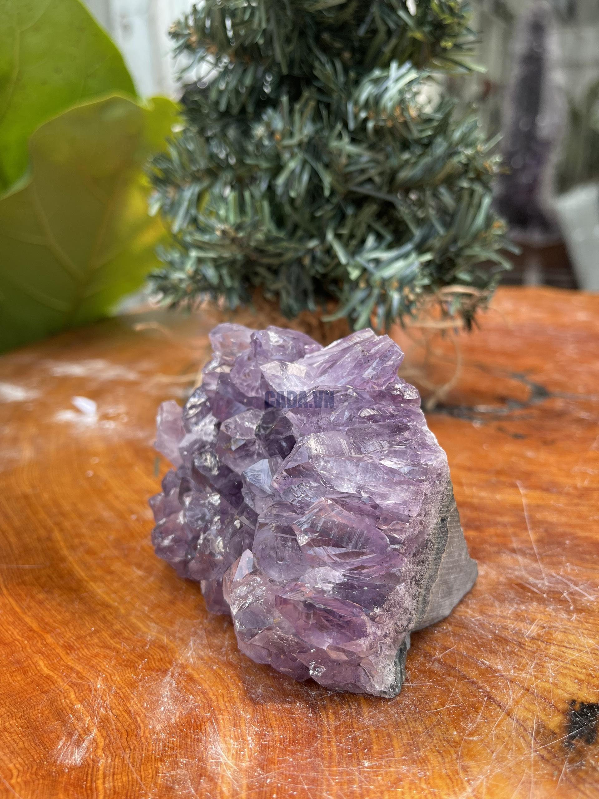 HỐC THẠCH ANH TÍM NHỎ – SMALL AMETHYST GEODE (TV339), KL: 0.540KG, KT: 7×9 CM