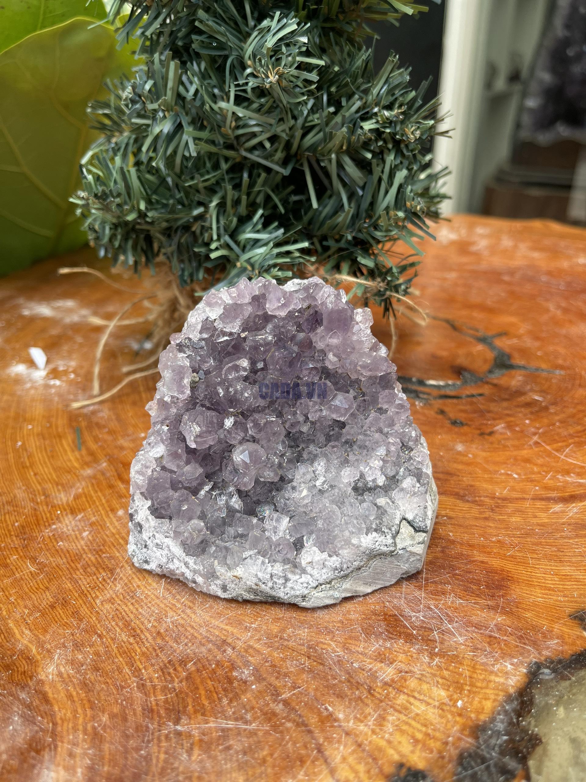 HỐC THẠCH ANH TÍM NHỎ – SMALL AMETHYST GEODE (TV340), KL: 0.454KG, KT: 8×9 CM