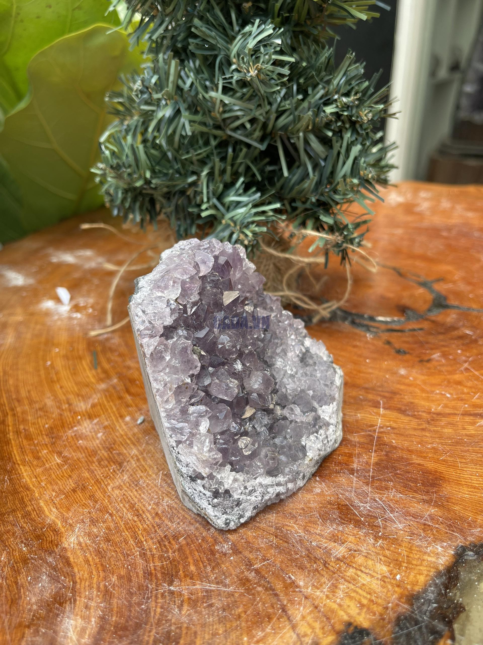 HỐC THẠCH ANH TÍM NHỎ – SMALL AMETHYST GEODE (TV340), KL: 0.454KG, KT: 8×9 CM
