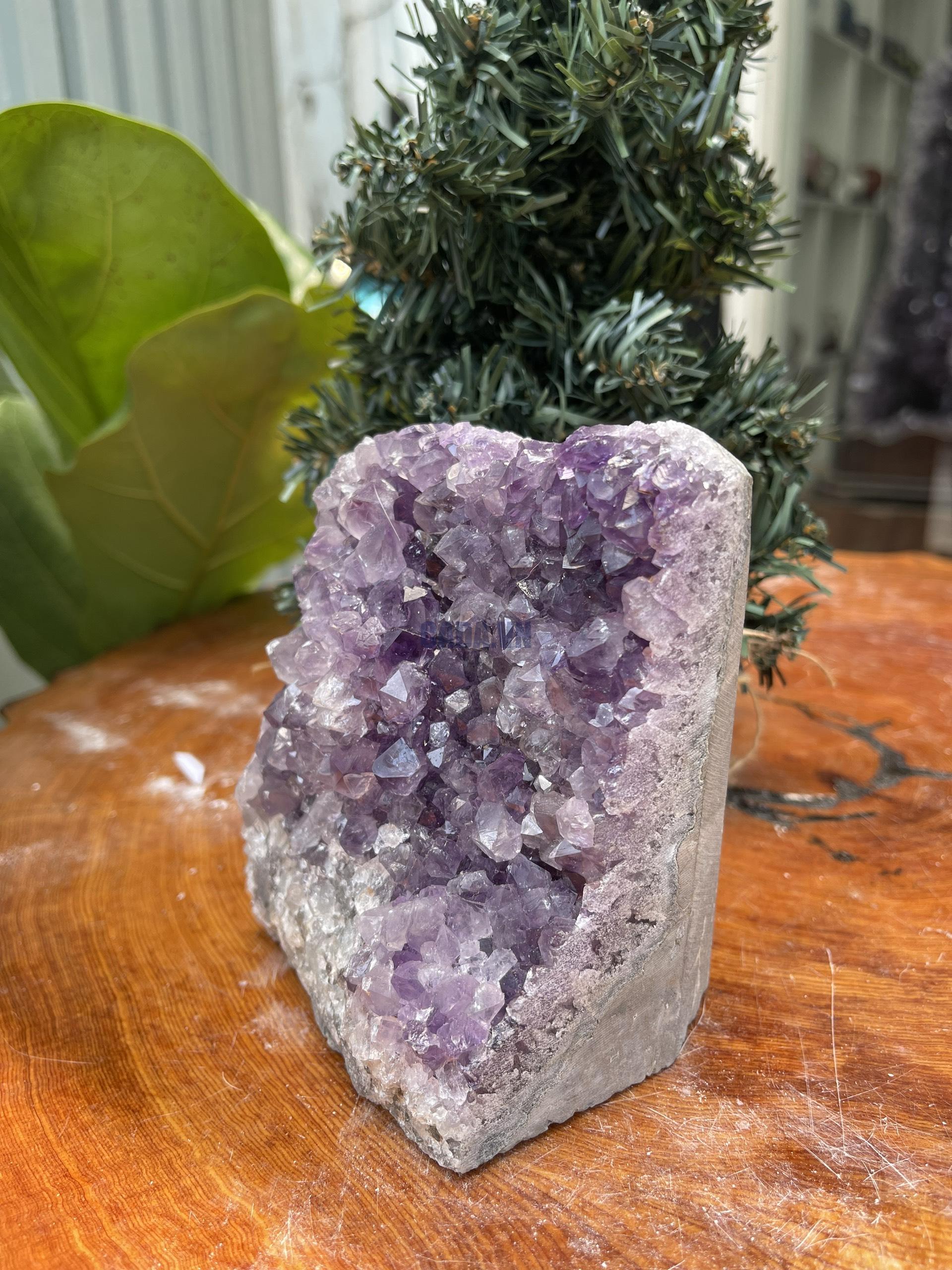 HỐC THẠCH ANH TÍM NHỎ – SMALL AMETHYST GEODE (TV341), KL: 1.228KG, KT: 12×9 CM