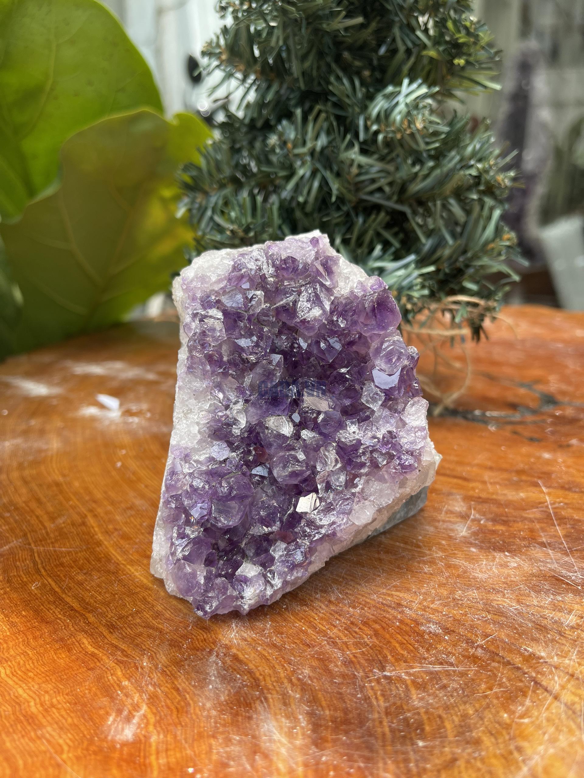 HỐC THẠCH ANH TÍM NHỎ – SMALL AMETHYST GEODE (TV342), KL: 0.630KG, KT: 9×8 CM