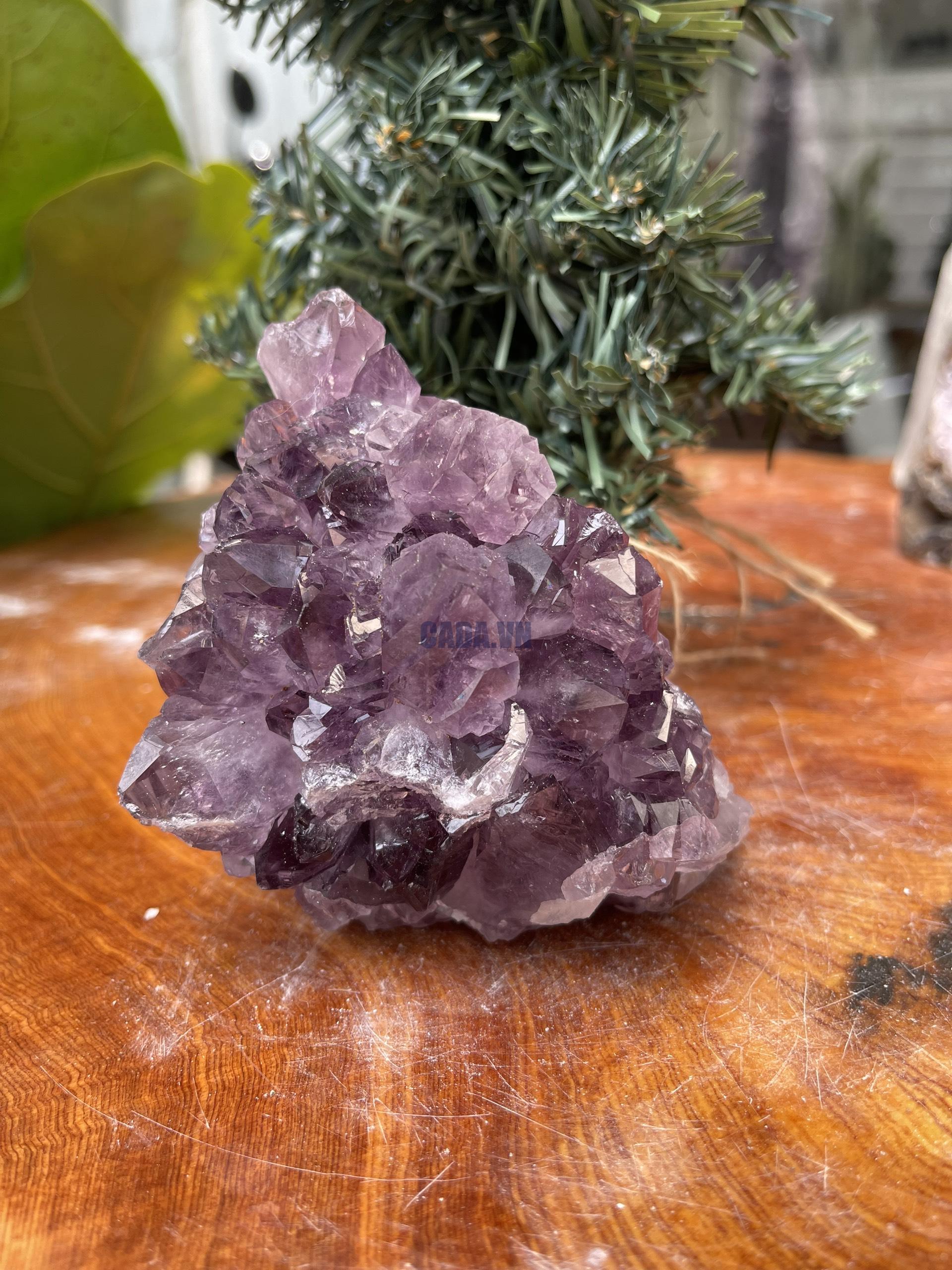 HỐC THẠCH ANH TÍM NHỎ – SMALL AMETHYST GEODE (TV344), KL: 0.632KG, KT: 9×9 CM