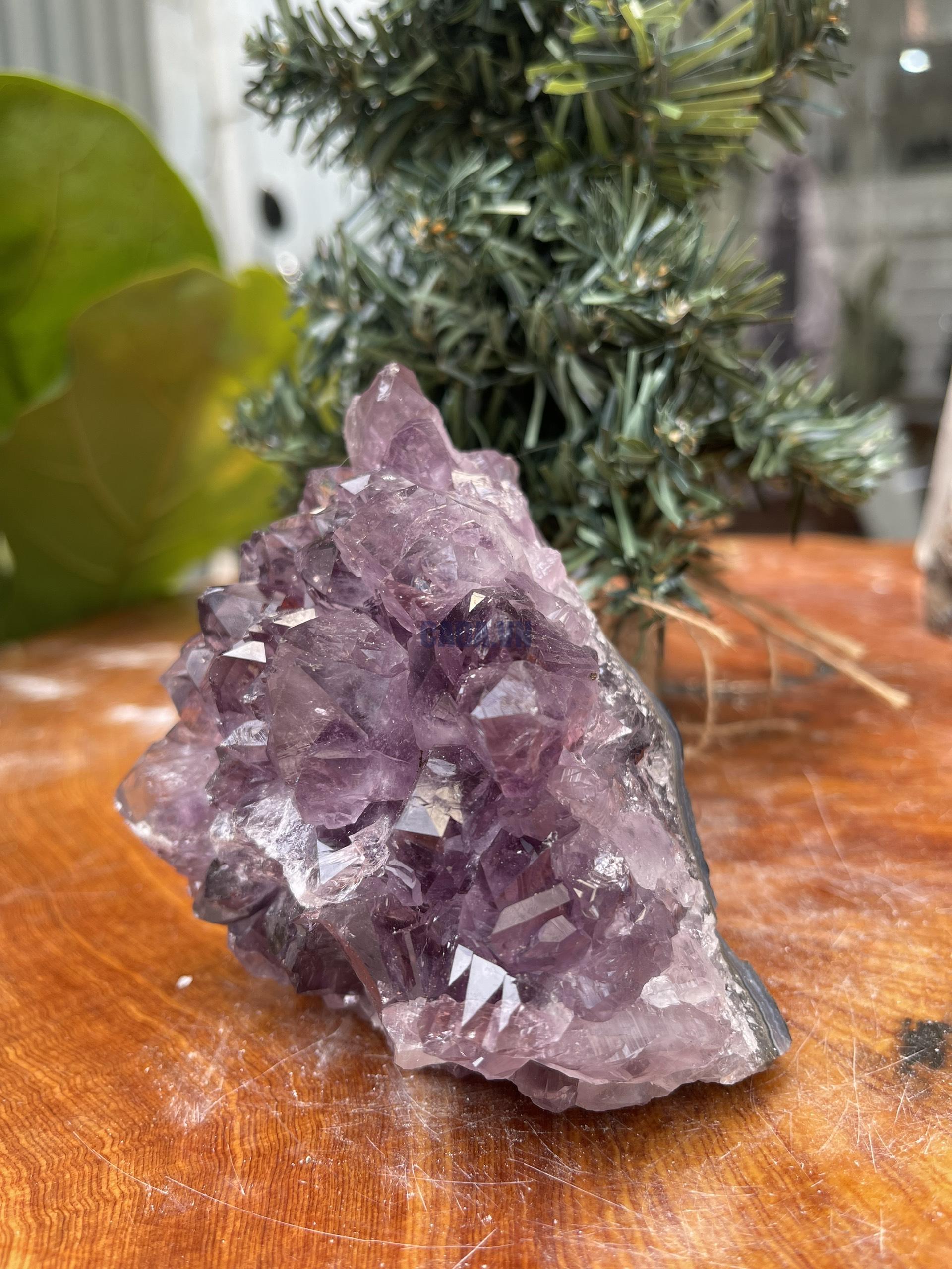 HỐC THẠCH ANH TÍM NHỎ – SMALL AMETHYST GEODE (TV344), KL: 0.632KG, KT: 9×9 CM