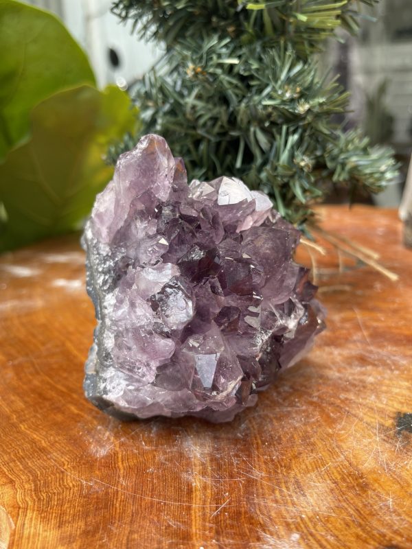 HỐC THẠCH ANH TÍM NHỎ – SMALL AMETHYST GEODE (TV344), KL: 0.632KG, KT: 9×9 CM