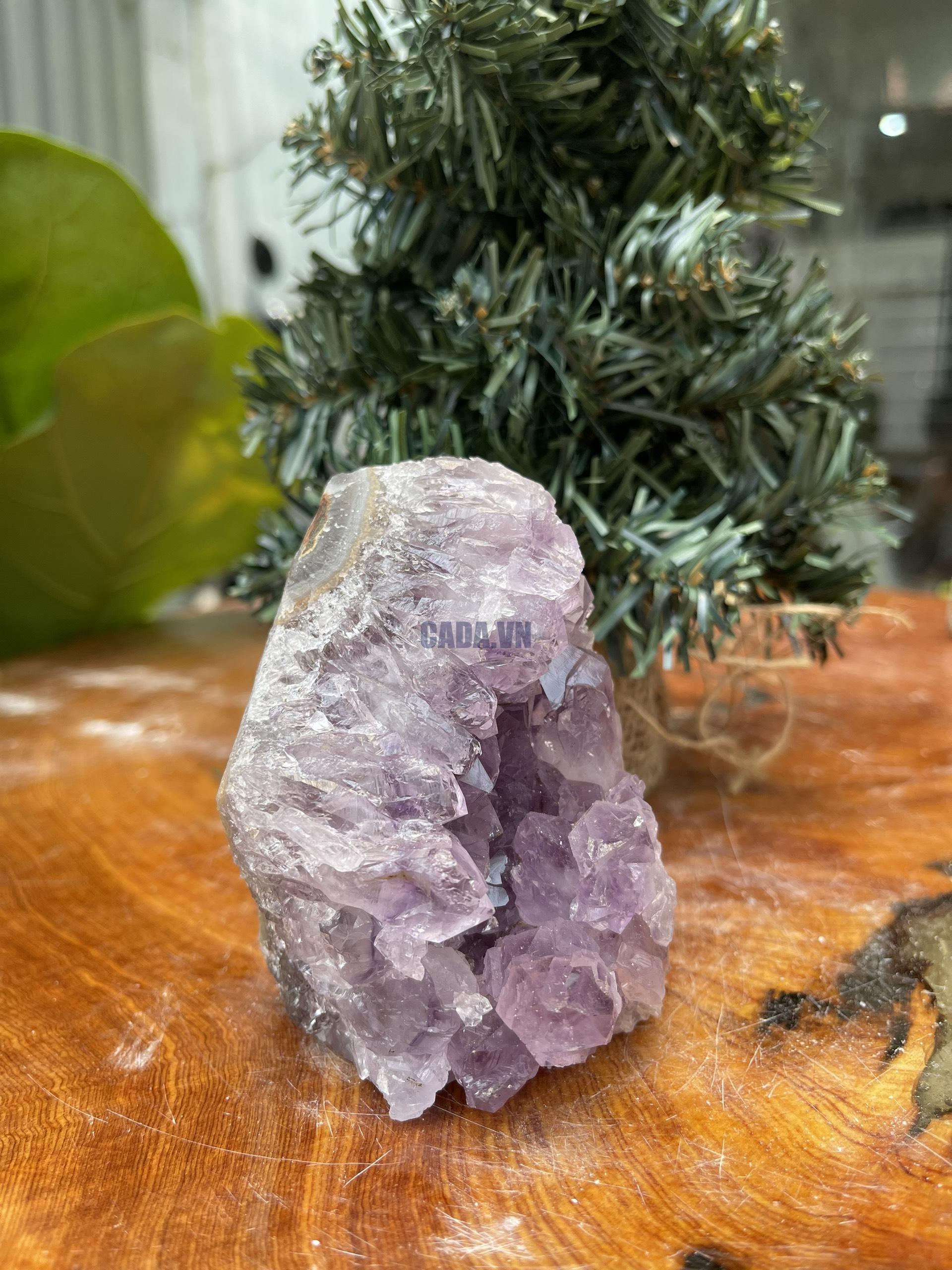 HỐC THẠCH ANH TÍM NHỎ – SMALL AMETHYST GEODE (TV346), KL: 0.414KG, KT: 9 x 7 CM