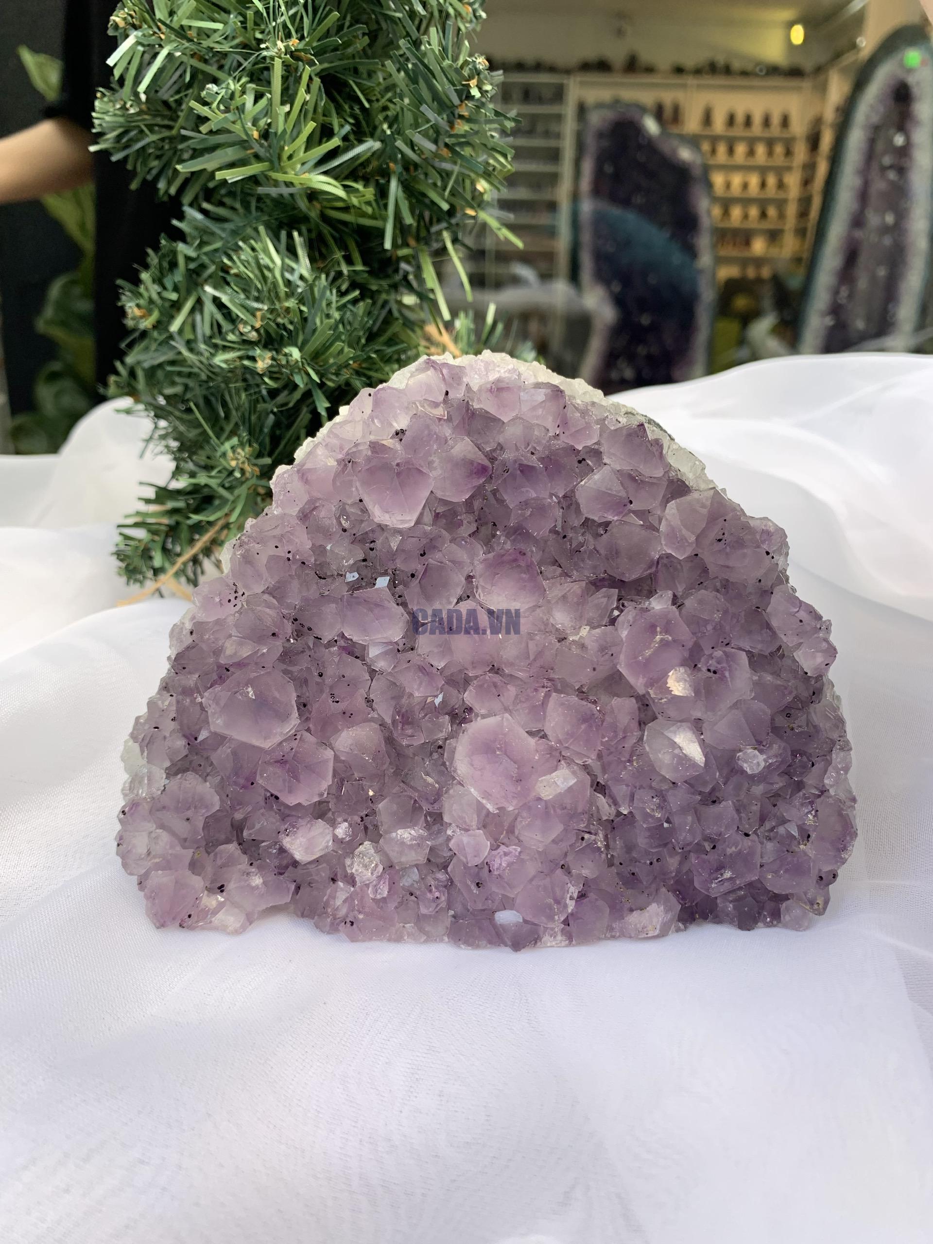 HỐC THẠCH ANH TÍM NHỎ – SMALL AMETHYST GEODE (TV348), KL: 1.310KG, KT: 12×14 CM