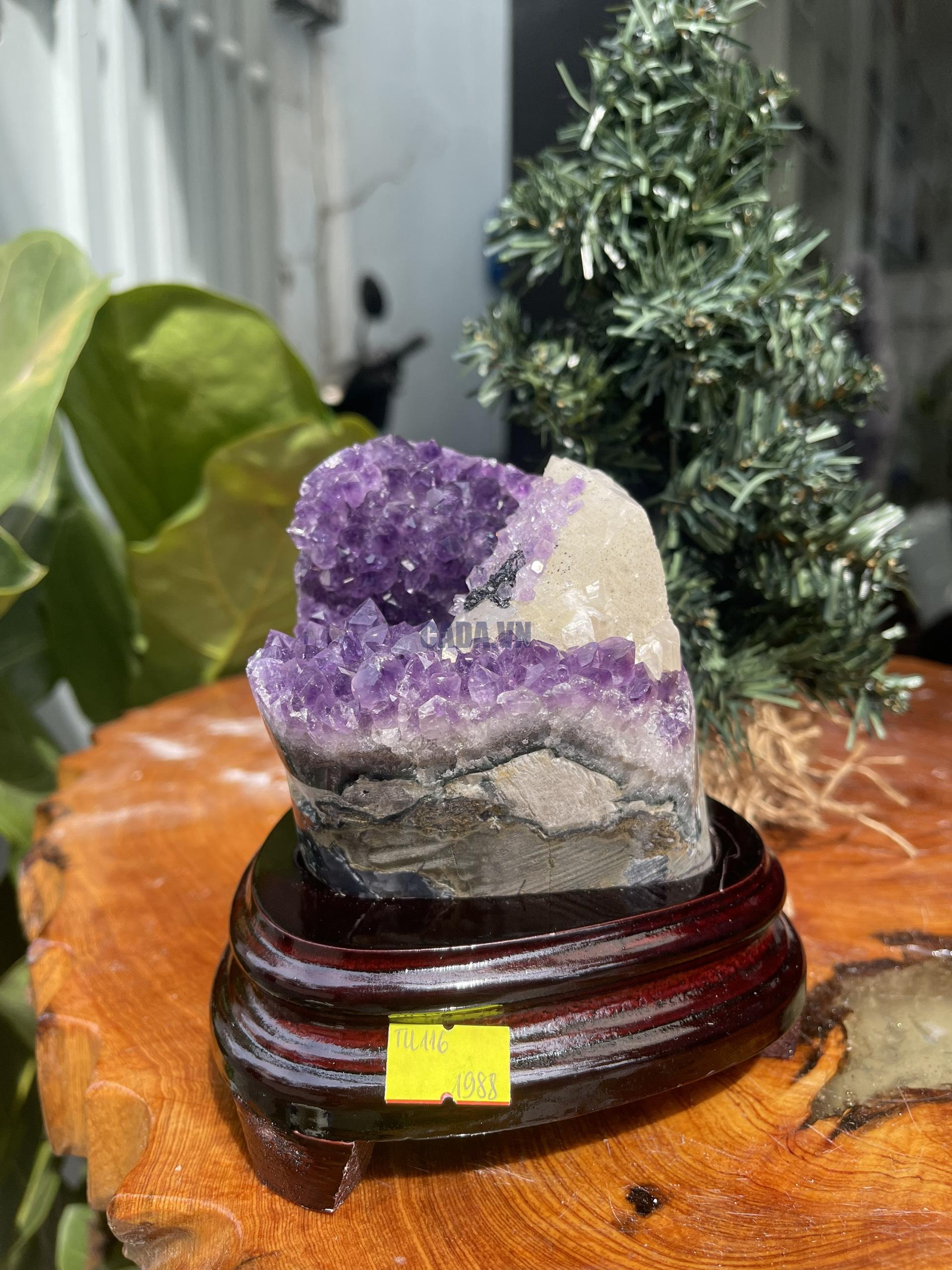 HỐC THẠCH ANH TÍM NHỎ – SMALL AMETHYST GEODE TU109
