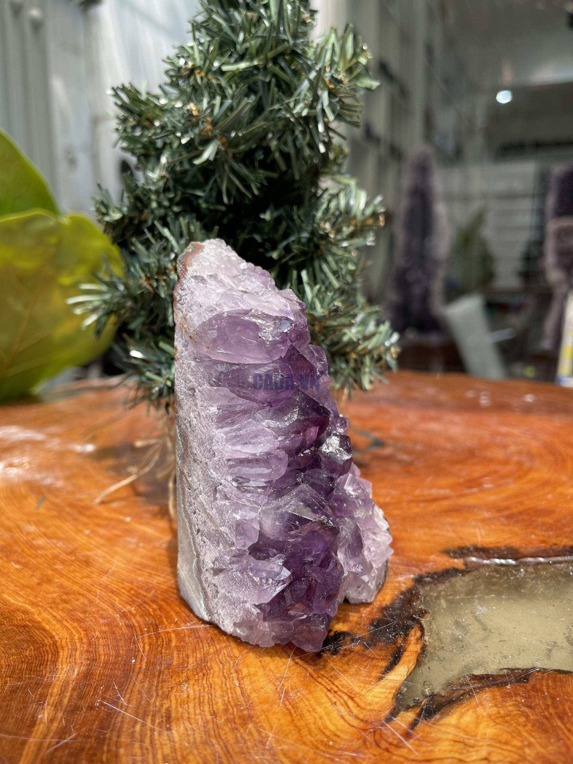 HỐC THẠCH ANH TÍM NHỎ – SMALL AMETHYST GEODE (TV235), KL: 0.498KG, KT: 10.5×6CM