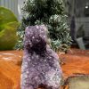 HỐC THẠCH ANH TÍM NHỎ – SMALL AMETHYST GEODE (TV243), KL: 0.702KG, KT: 10.5×7.5 CM