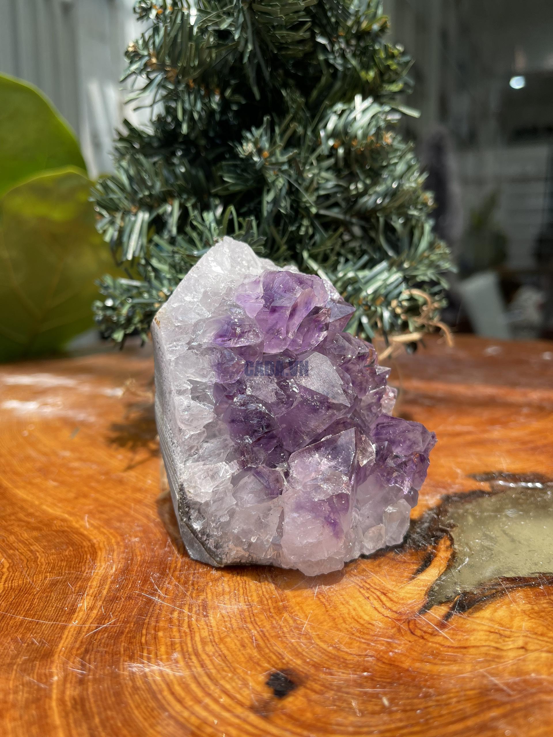 HỐC THẠCH ANH TÍM NHỎ – SMALL AMETHYST GEODE (TV294), KL: 0.474 KG, KT: 9×6 CM