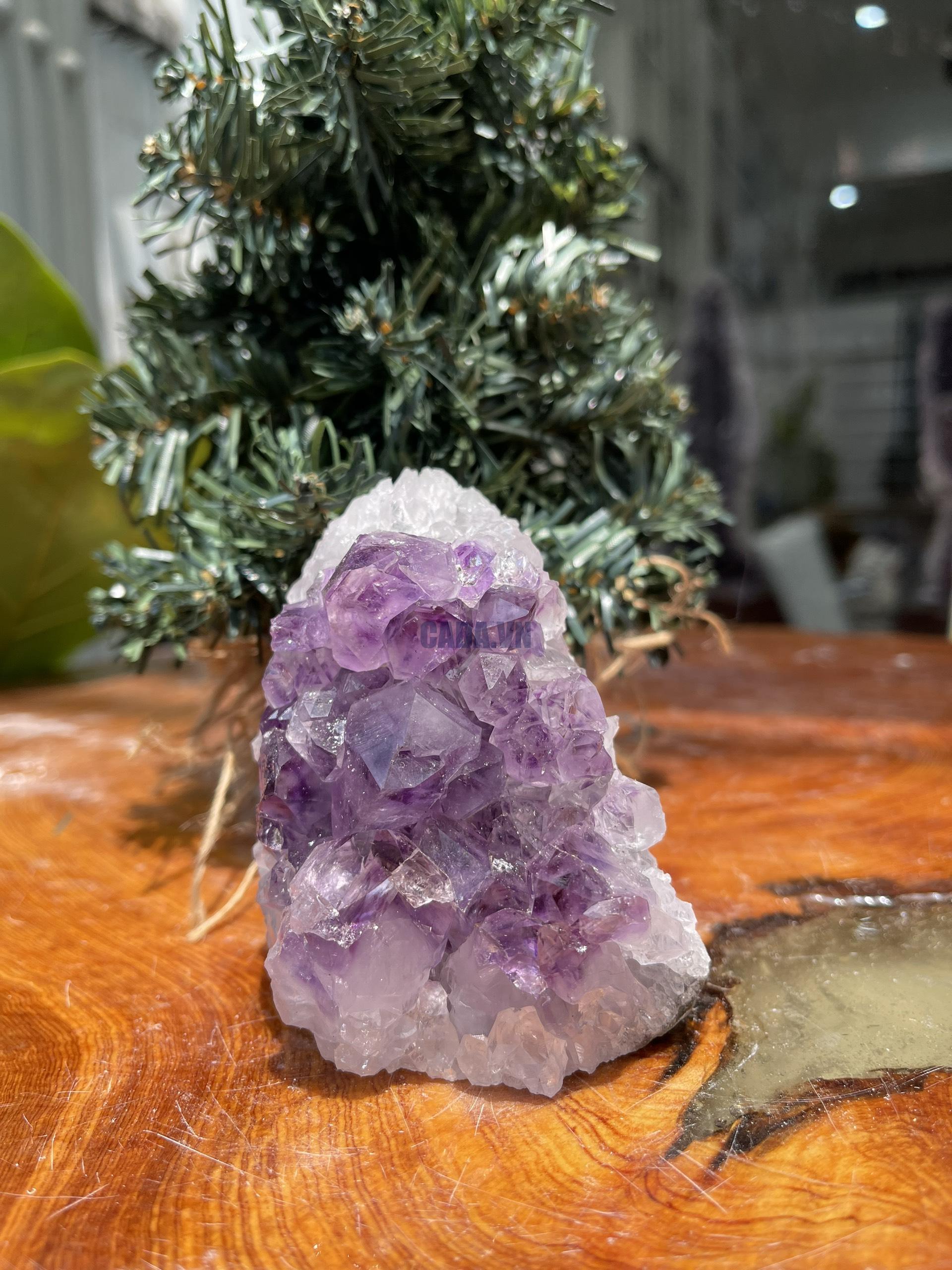 HỐC THẠCH ANH TÍM NHỎ – SMALL AMETHYST GEODE (TV294), KL: 0.474 KG, KT: 9×6 CM
