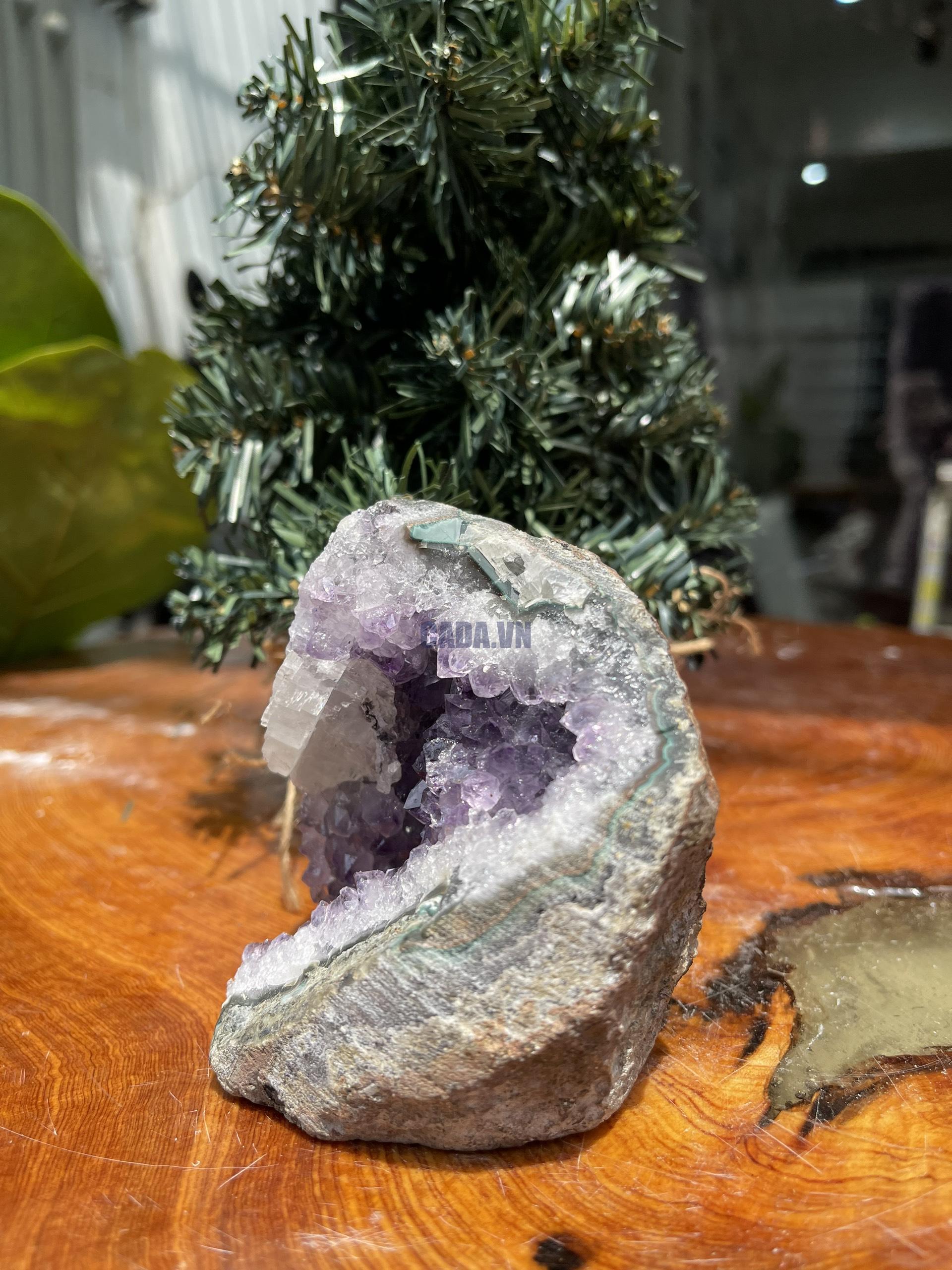 HỐC THẠCH ANH TÍM NHỎ – SMALL AMETHYST GEODE (TV297), KL: 0.452 KG, KT: 9x9 CM