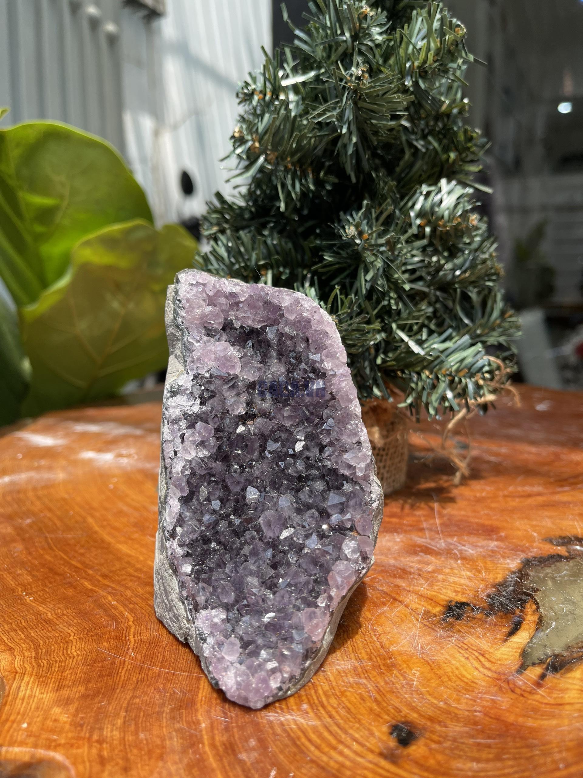 HỐC THẠCH ANH TÍM NHỎ – SMALL AMETHYST GEODE (TV276), KL: 0.54KG, KT: 11×7 CM