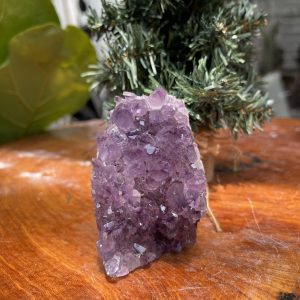 HỐC THẠCH ANH TÍM NHỎ – SMALL AMETHYST GEODE (TV292), KL: 0.364 KG, KT: 8×6 CM