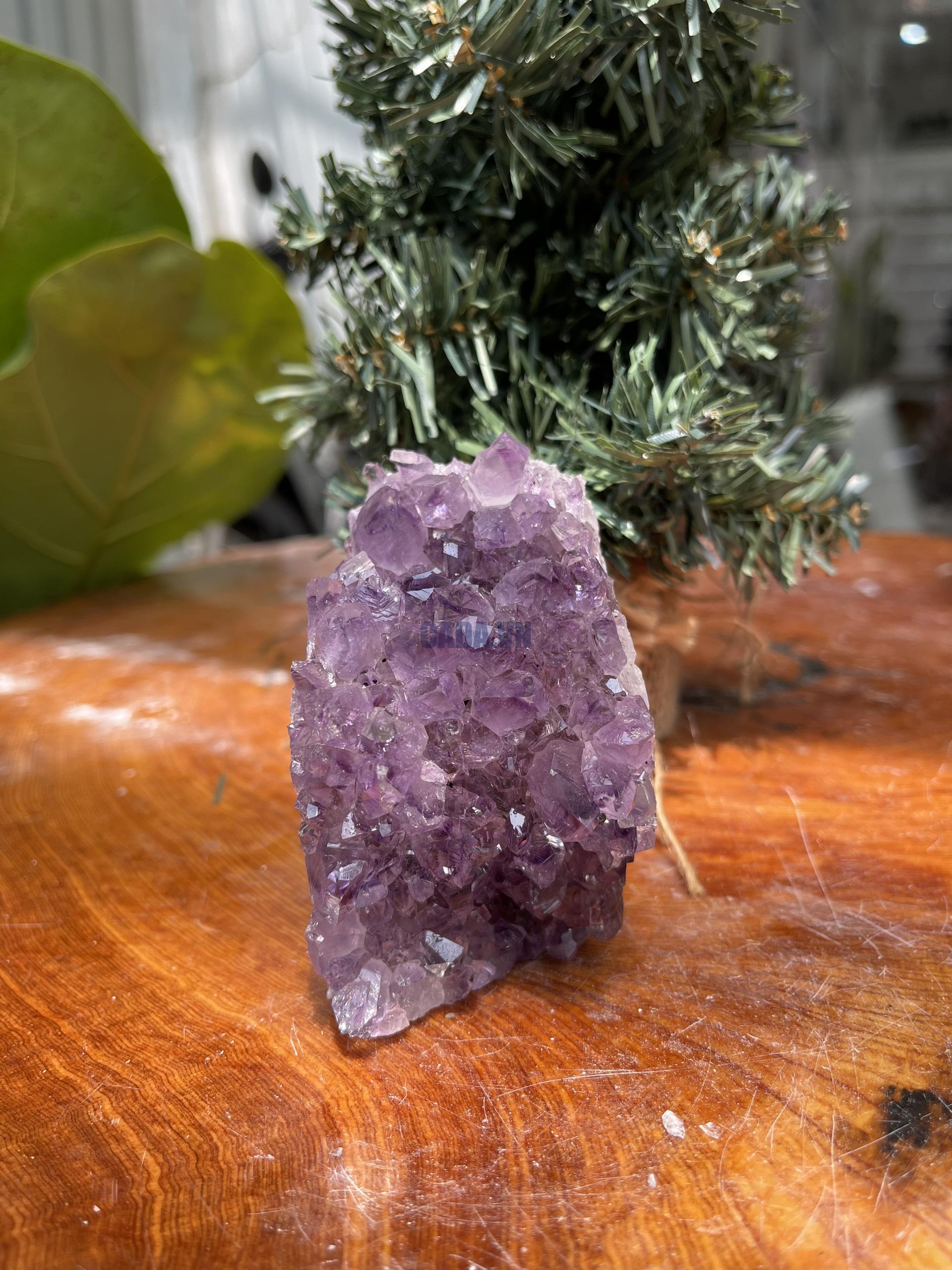 HỐC THẠCH ANH TÍM NHỎ – SMALL AMETHYST GEODE (TV292), KL: 0.364 KG, KT: 8×6 CM