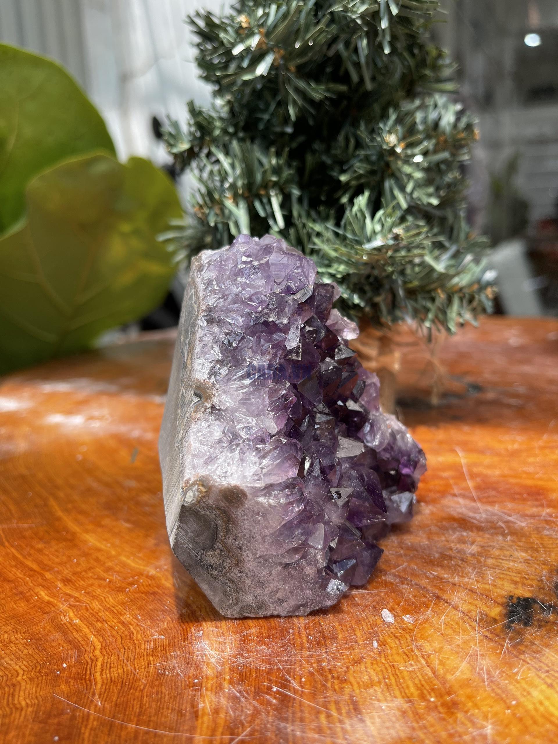 HỐC THẠCH ANH TÍM NHỎ – SMALL AMETHYST GEODE (TV295), KL: 0.476 KG, KT: 9×8 CM