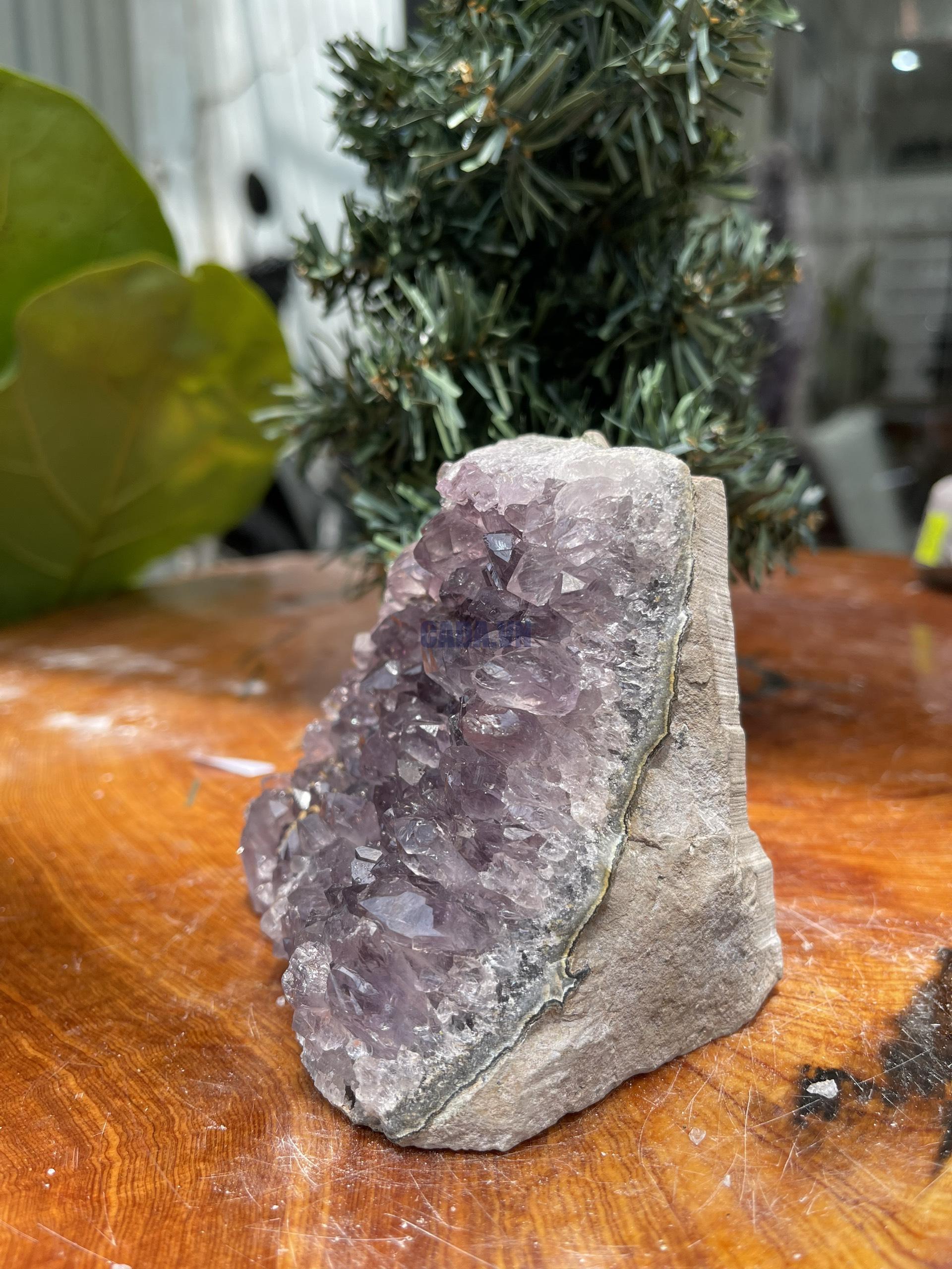 HỐC THẠCH ANH TÍM NHỎ – SMALL AMETHYST GEODE (TV267), KL: 0.718KG, KT: 10×9 CM