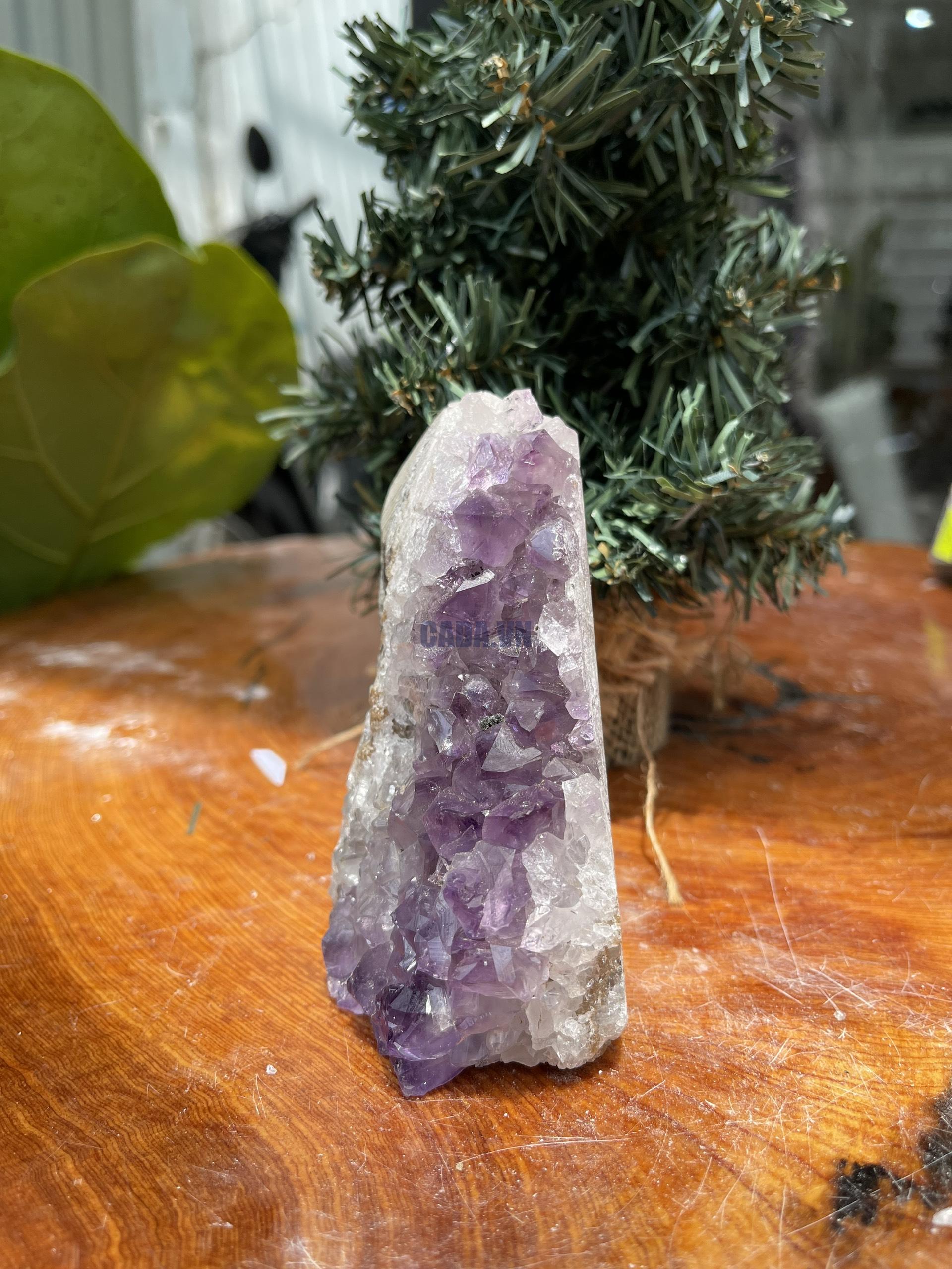 HỐC THẠCH ANH TÍM NHỎ – SMALL AMETHYST GEODE (TV271), KL: 0.45KG, KT: 10×5 CM