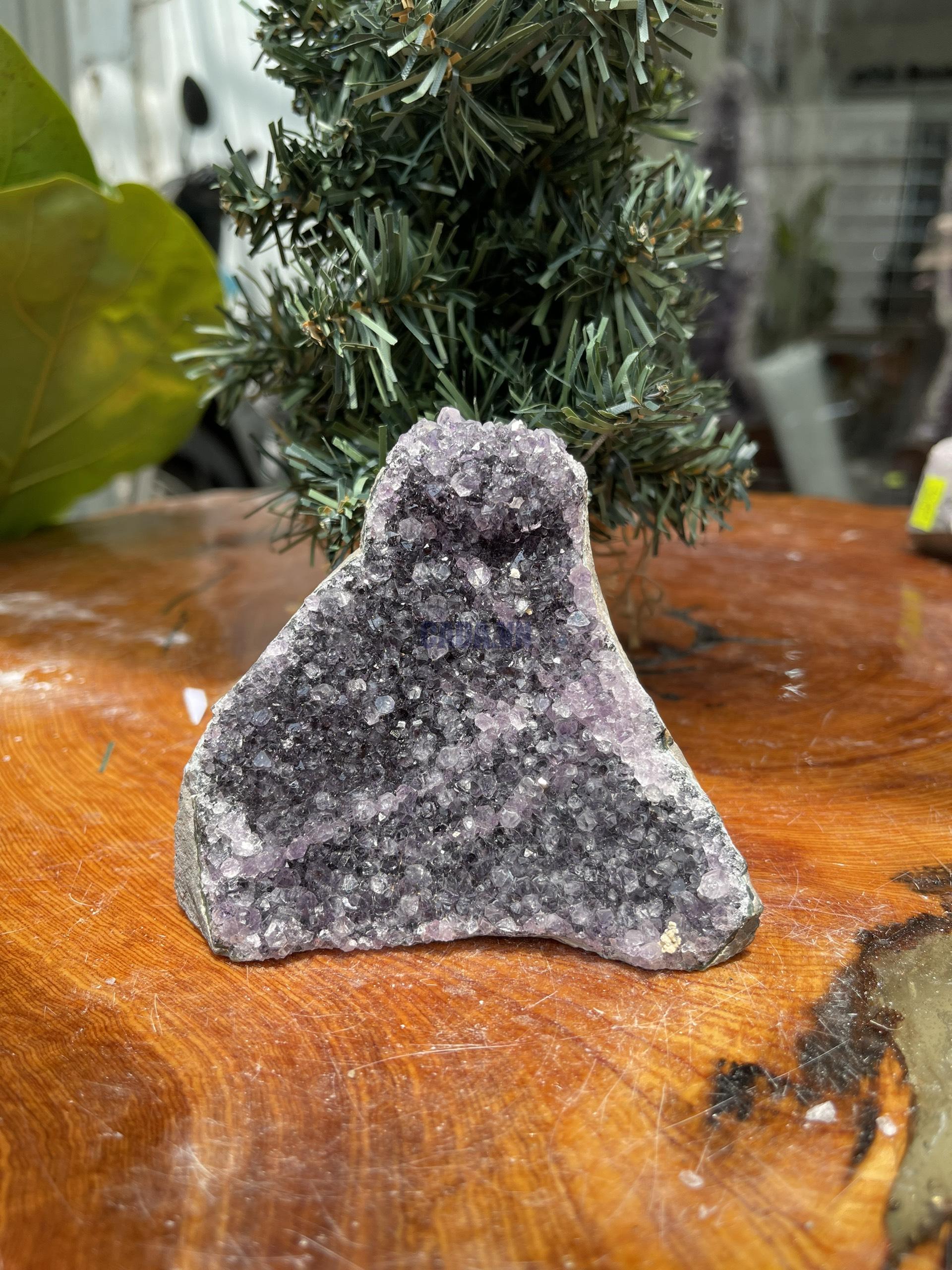 HỐC THẠCH ANH TÍM NHỎ – SMALL AMETHYST GEODE (TV279), KL: 0.374KG, KT: 9×10 CM