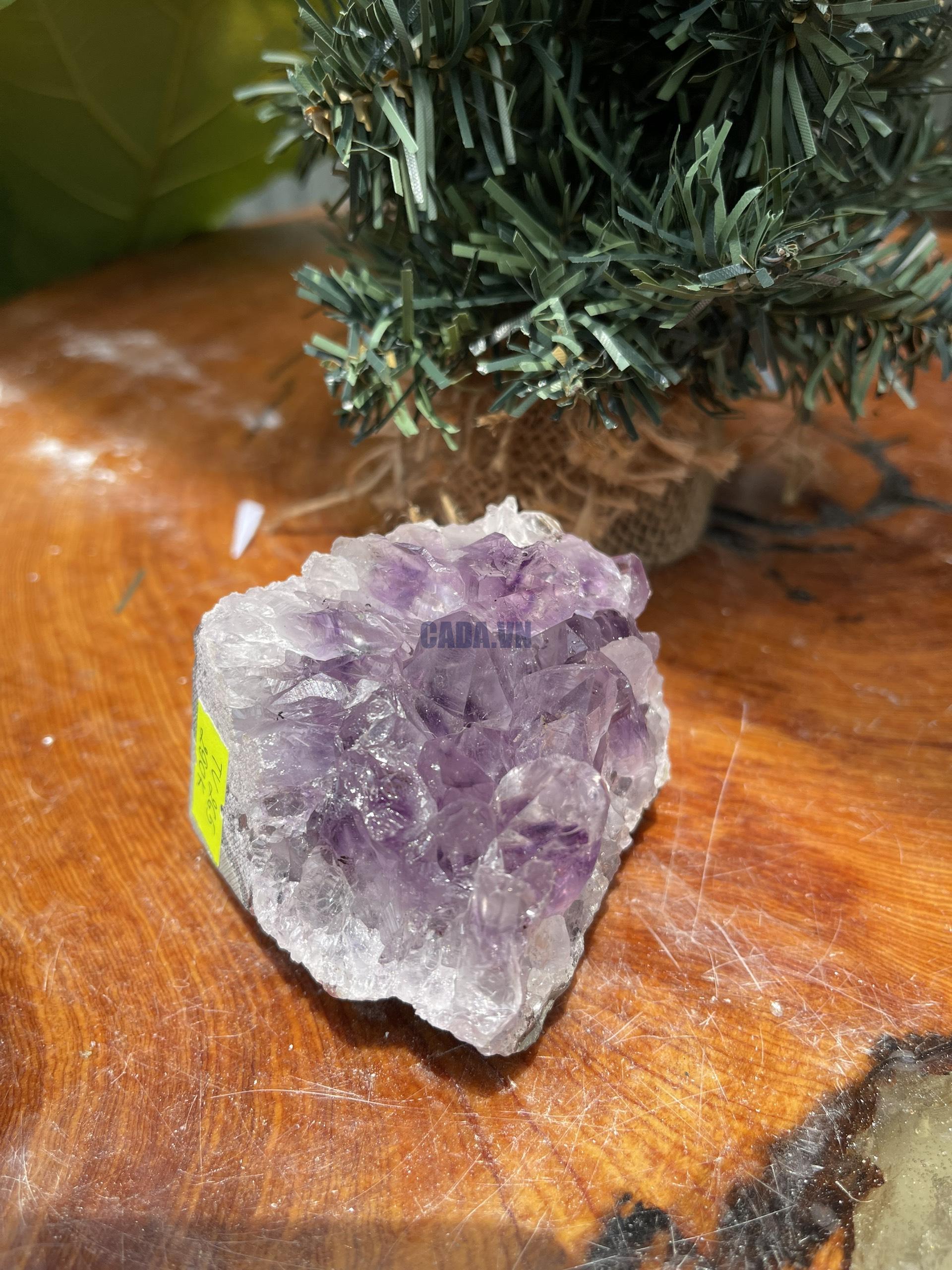 HỐC THẠCH ANH TÍM NHỎ – SMALL AMETHYST GEODE (TV265), KL: 0.29KG, KT: 7×7CM )