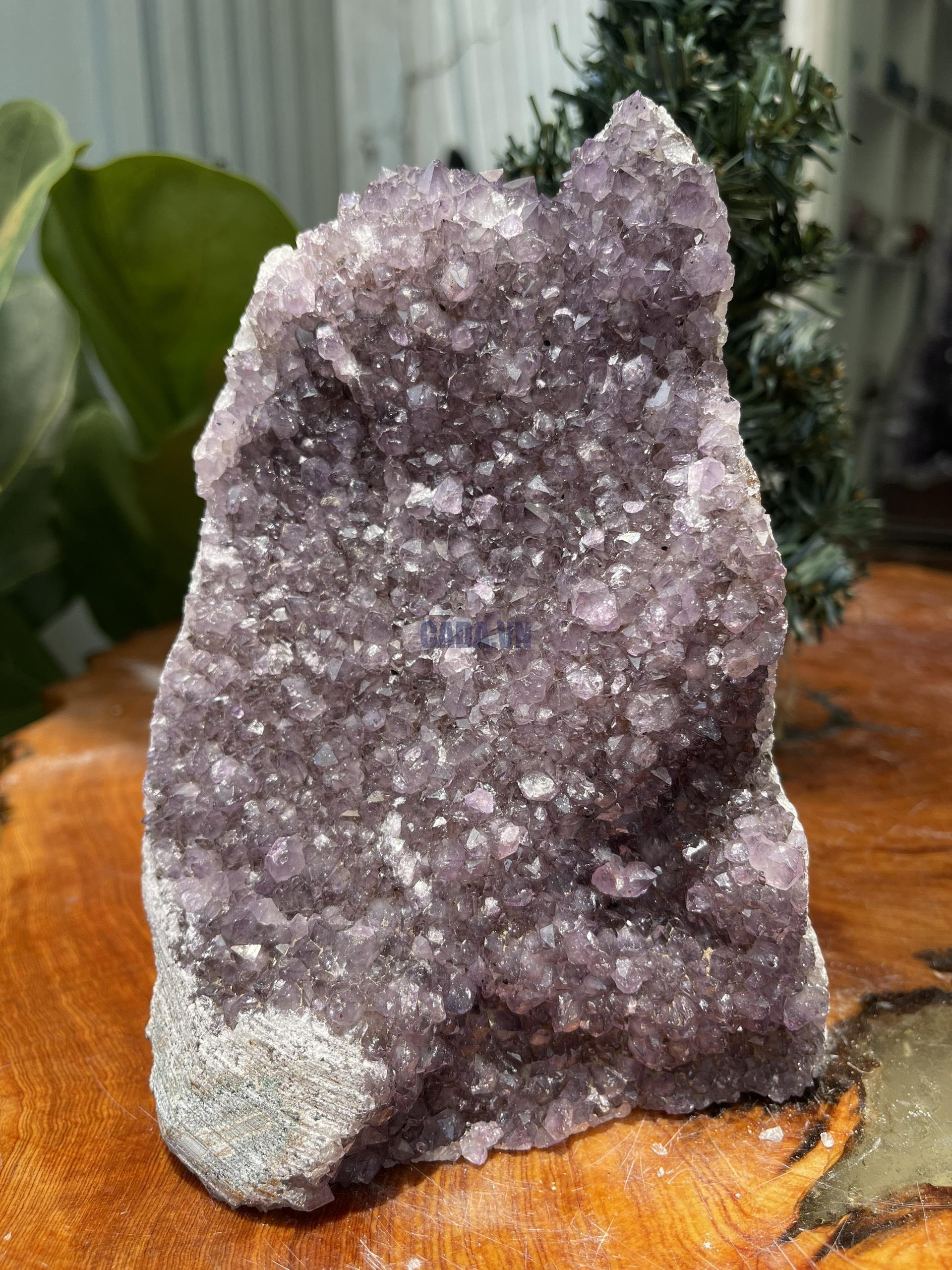 HỐC THẠCH ANH TÍM NHỎ – SMALL AMETHYST GEODE (TV260), KL: 2KG, KT: 17×13 CM