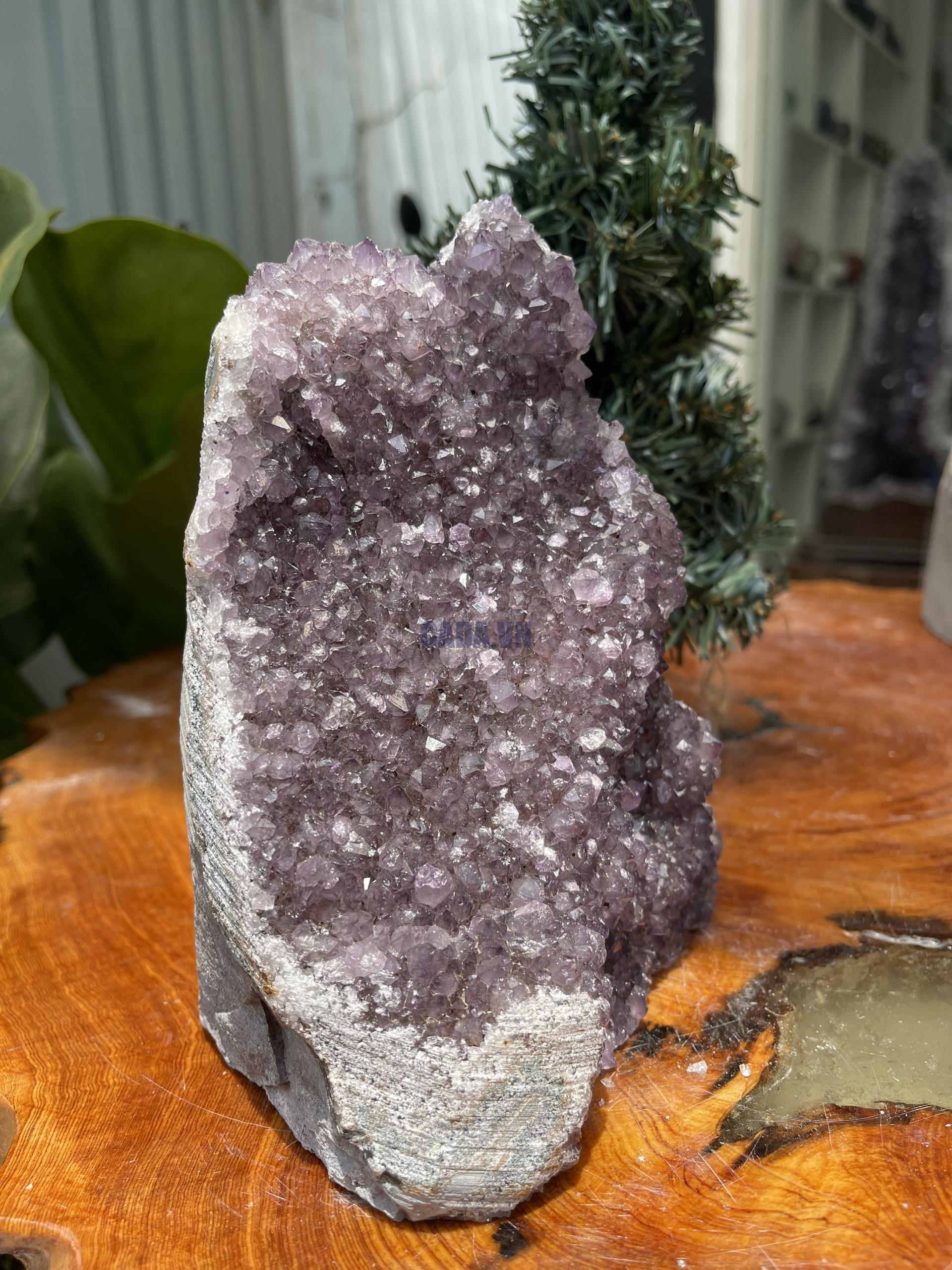 HỐC THẠCH ANH TÍM NHỎ – SMALL AMETHYST GEODE (TV260), KL: 2KG, KT: 17×13 CM