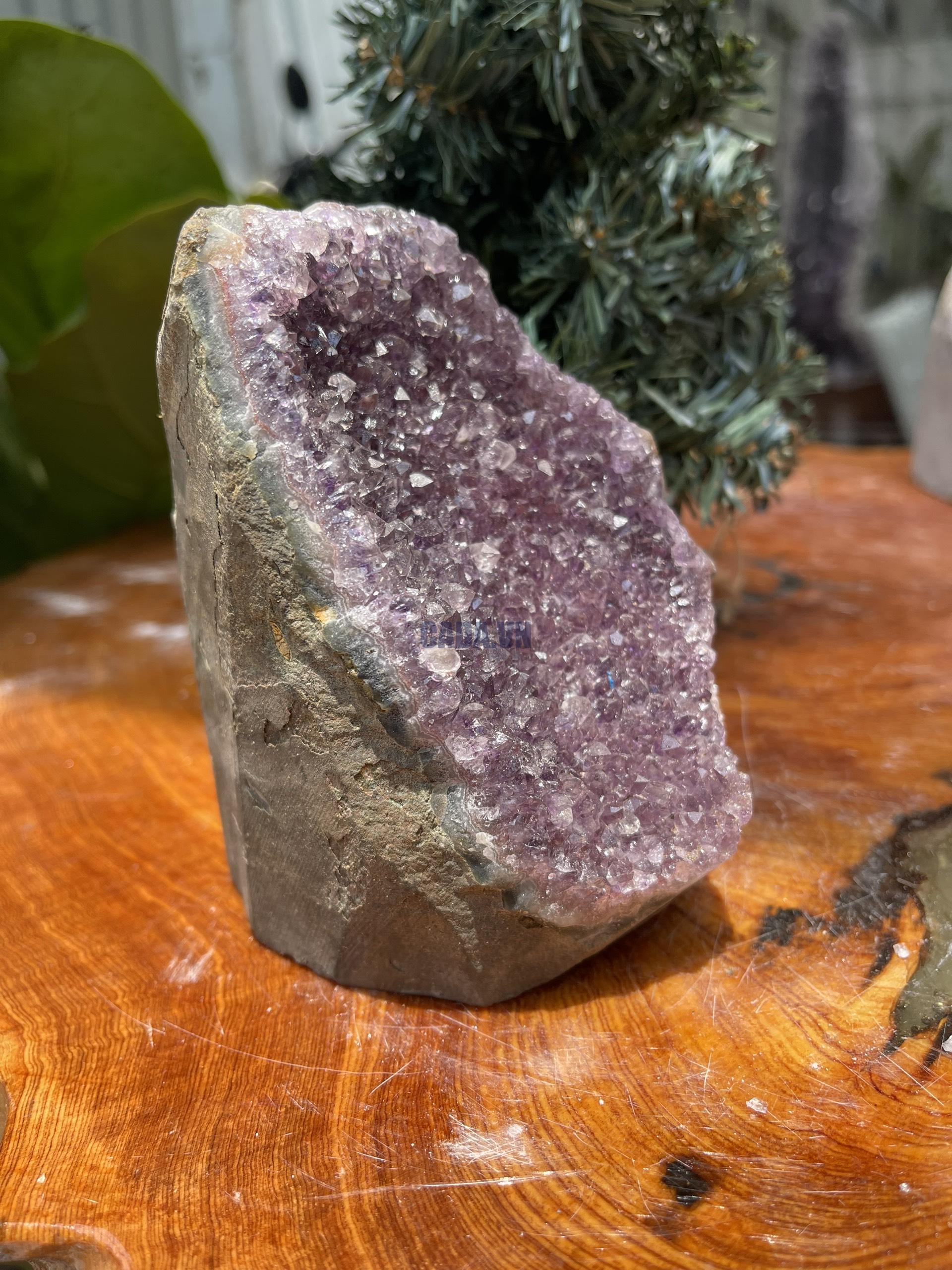 HỐC THẠCH ANH TÍM NHỎ – SMALL AMETHYST GEODE (TV256), KL: 0.988KG, KT: 13×8 CM