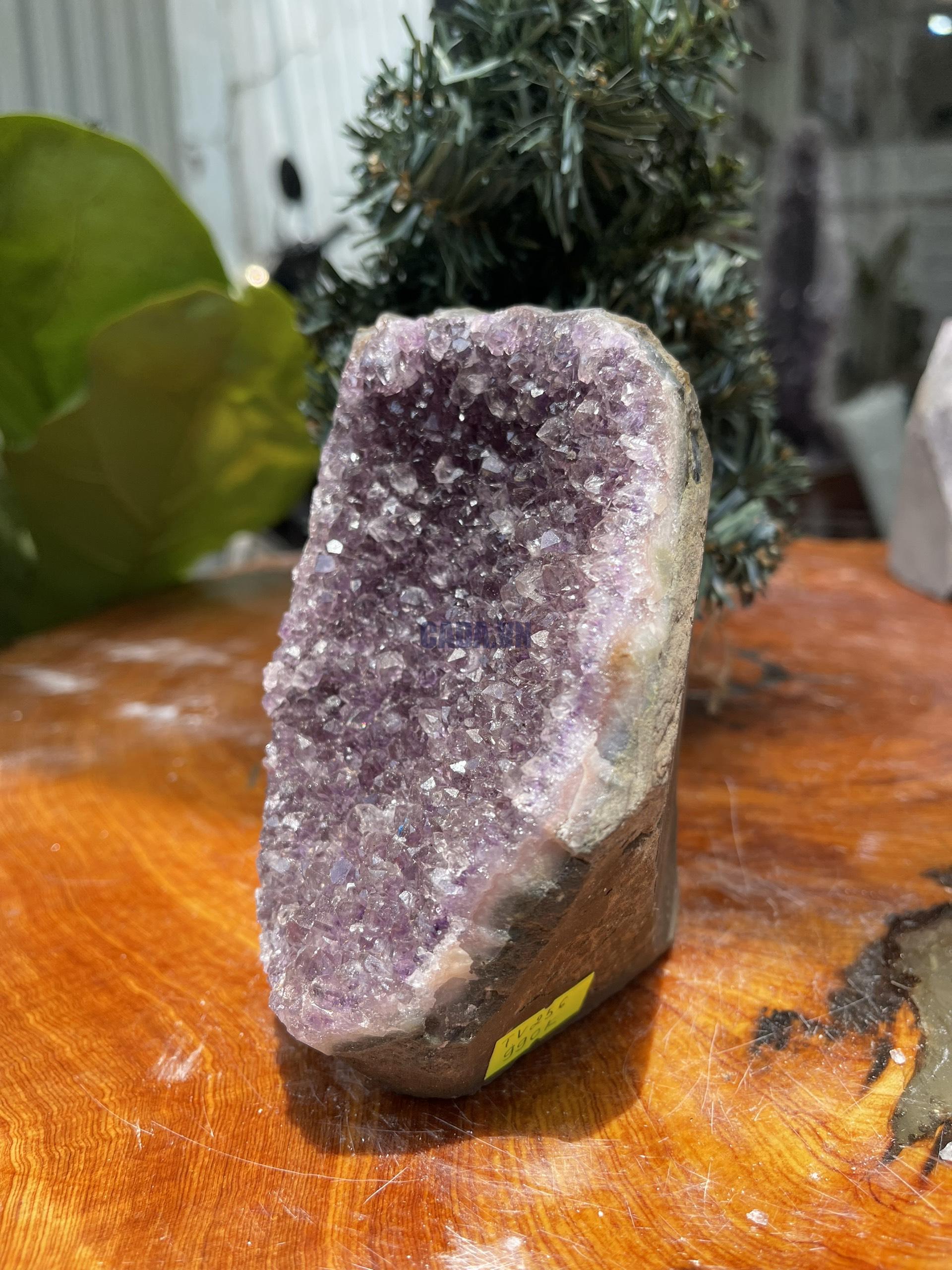 HỐC THẠCH ANH TÍM NHỎ – SMALL AMETHYST GEODE (TV256), KL: 0.988KG, KT: 13×8 CM