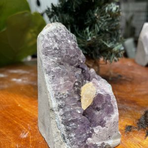 HỐC THẠCH ANH TÍM NHỎ – SMALL AMETHYST GEODE (TV268), KL: 0.772KG, KT: 11×10 CM