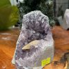 HỐC THẠCH ANH TÍM NHỎ – SMALL AMETHYST GEODE (TV268), KL: 0.772KG, KT: 11×10 CM