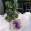HỐC THẠCH ANH TÍM NHỎ – SMALL AMETHYST GEODE (TV251), KL: 0.428KG, KT: 7x8 CM HỐC THẠCH ANH TÍM NHỎ – SMALL AMETHYST GEODE (TV251), KL: 0.428KG, KT: 7x8 CM