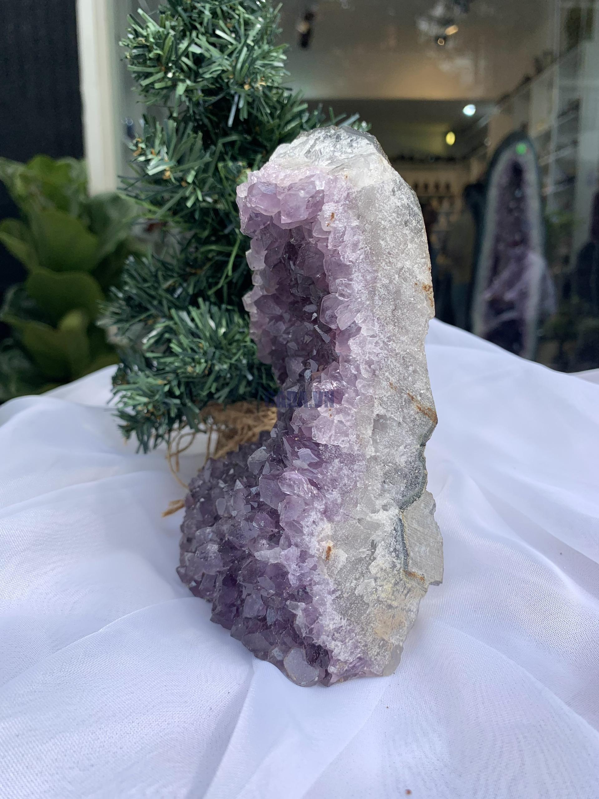 HỐC THẠCH ANH TÍM NHỎ – SMALL AMETHYST GEODE (TV254), KL: 1.444KG, KT: 6x11 CM