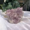 HỐC THẠCH ANH TÍM NHỎ – SMALL AMETHYST (TV389), KL: 0.45 KG, KT: 8 x 9.1 CM