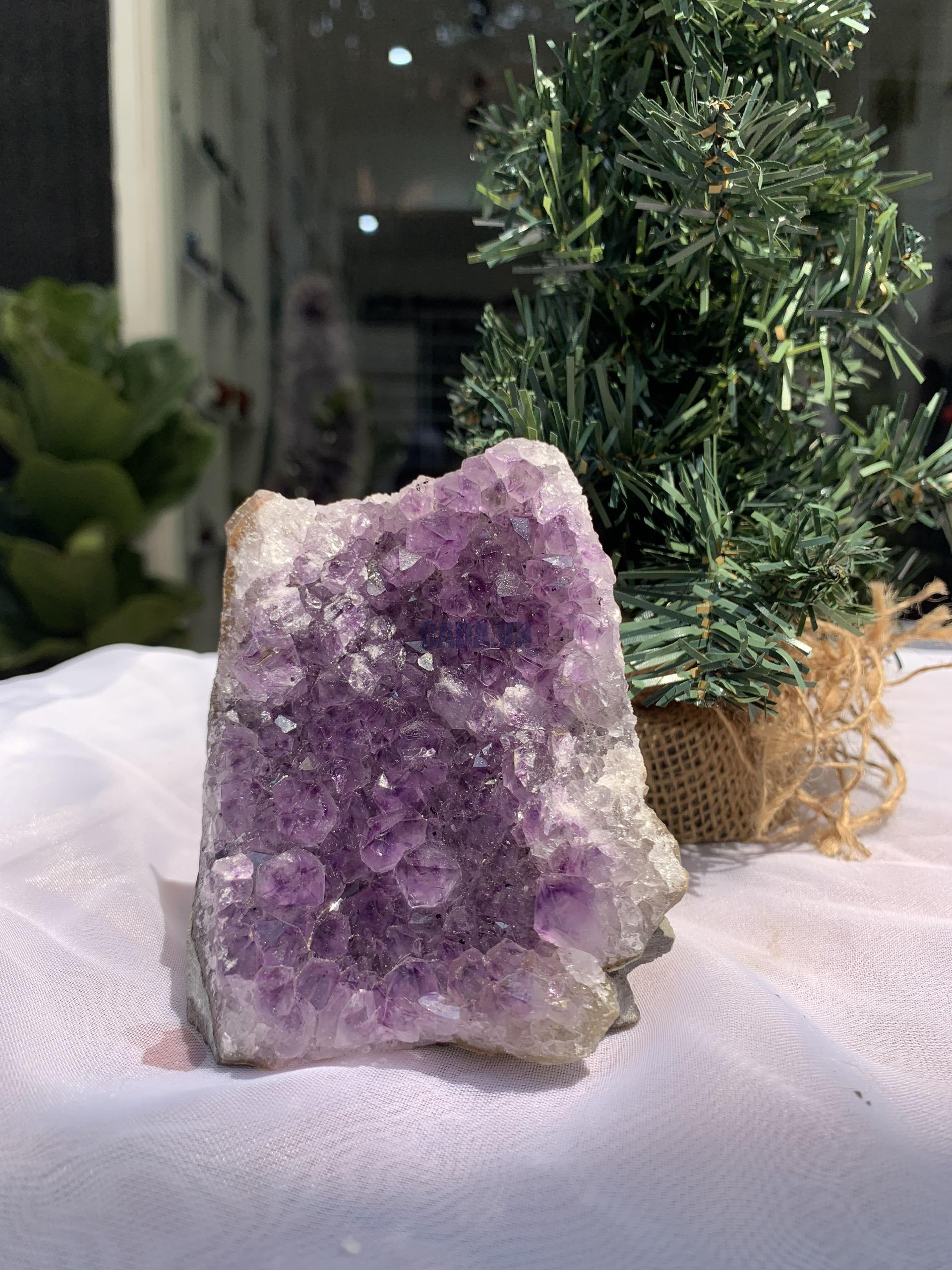 HỐC THẠCH ANH TÍM NHỎ – SMALL AMETHYST GEODE (TV283), KL: 0.646KG, KT: 11x8 CM