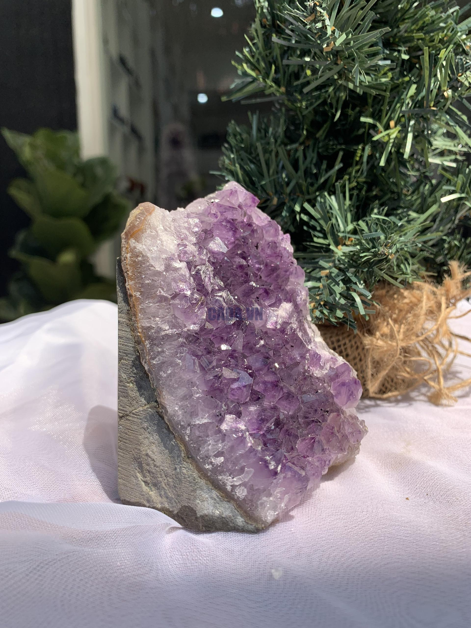 HỐC THẠCH ANH TÍM NHỎ – SMALL AMETHYST GEODE (TV283), KL: 0.646KG, KT: 11x8 CM