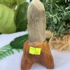 TRỤ THẠCH ANH KHÓI THÔ- RAW SMOKY QUARTZ POINT (TAK04), KL:0.162KG, KT: 14x4.2CM