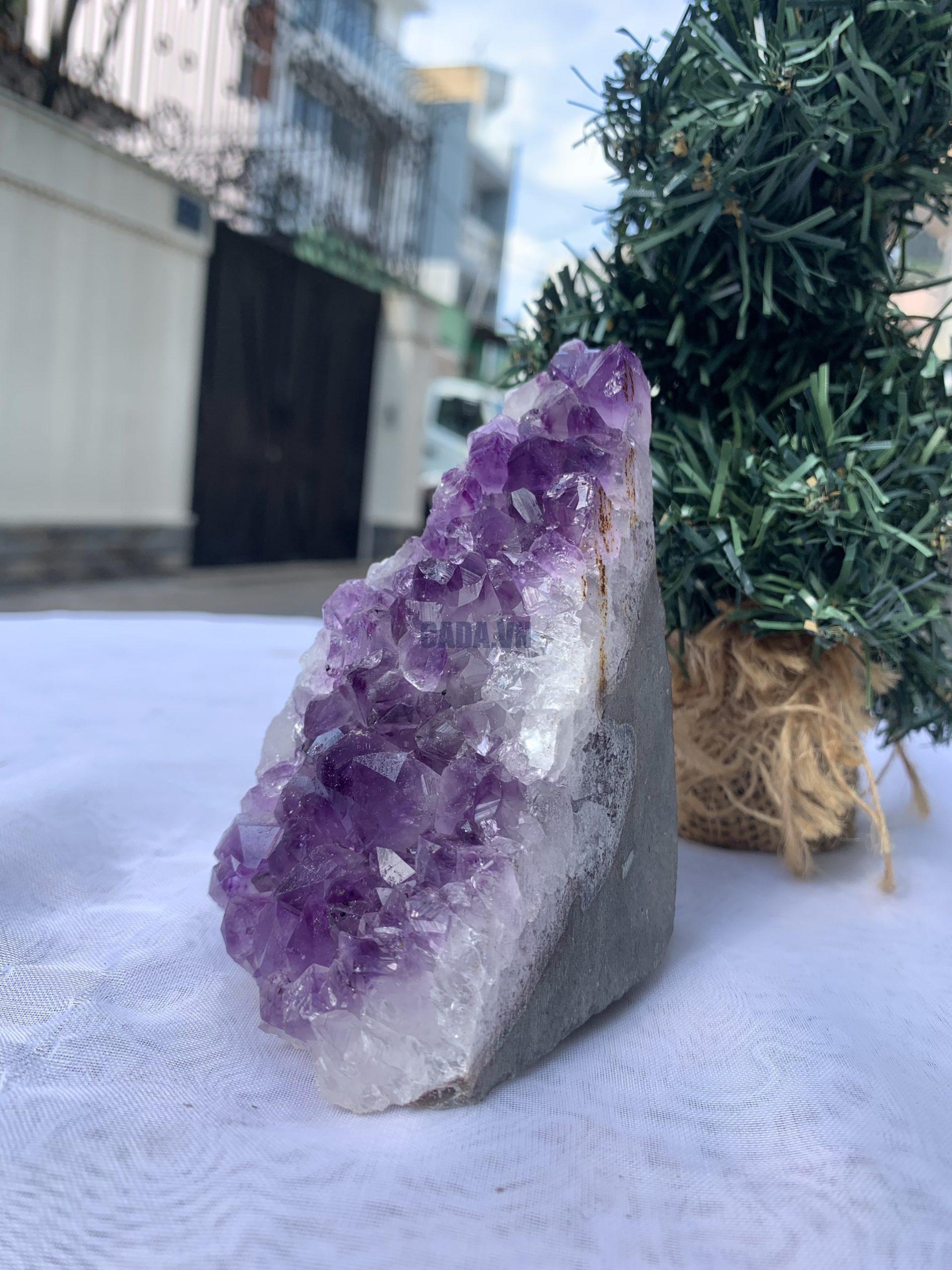 HỐC THẠCH ANH TÍM NHỎ – SMALL AMETHYST GEODE (TV409), KL: 0,526KG, KT: 10,5x5 CM