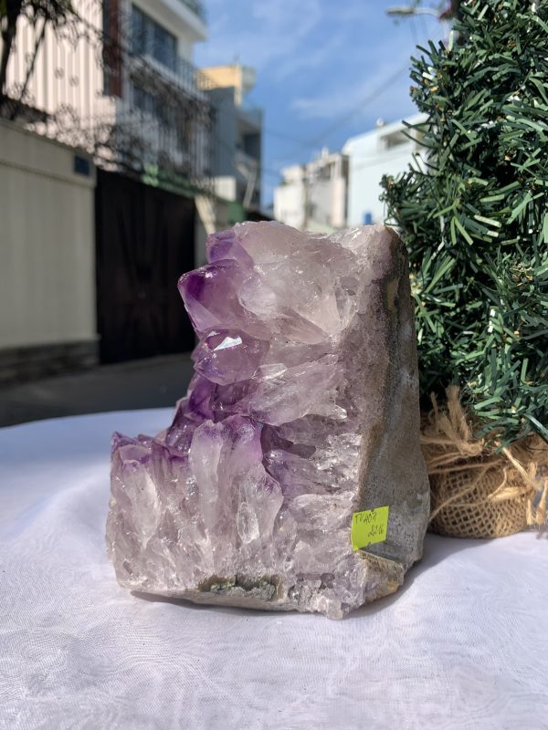 HỐC THẠCH ANH TÍM NHỎ – SMALL AMETHYST GEODE (TV407), KL: 2.216KG, KT: 13,2x10,5 CM