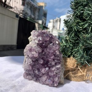 HỐC THẠCH ANH TÍM NHỎ – SMALL AMETHYST GEODE (TV412), KL: 1.196KG, KT: 12,8x10 CM