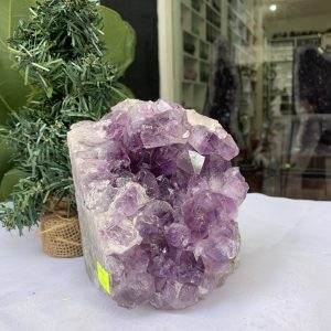 HỐC THẠCH ANH TÍM NHỎ – SMALL AMETHYST GEODE (TV414), KL: 1.794 KG, KT: 13×10.5CM