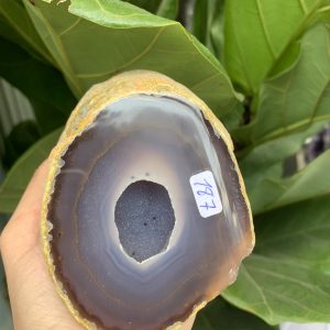 BÁT TỤ BẢO MÃ NÃO KT: 10.3x9 CM KL: 0.718 KG (MS: TB124)