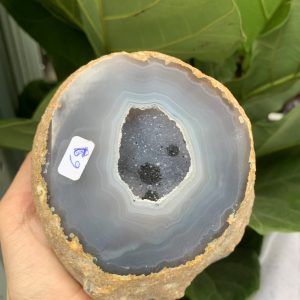 BÁT TỤ BẢO MÃ NÃO KT: 12x11.5 CM KL: 0.834 KG (MS: TB128)