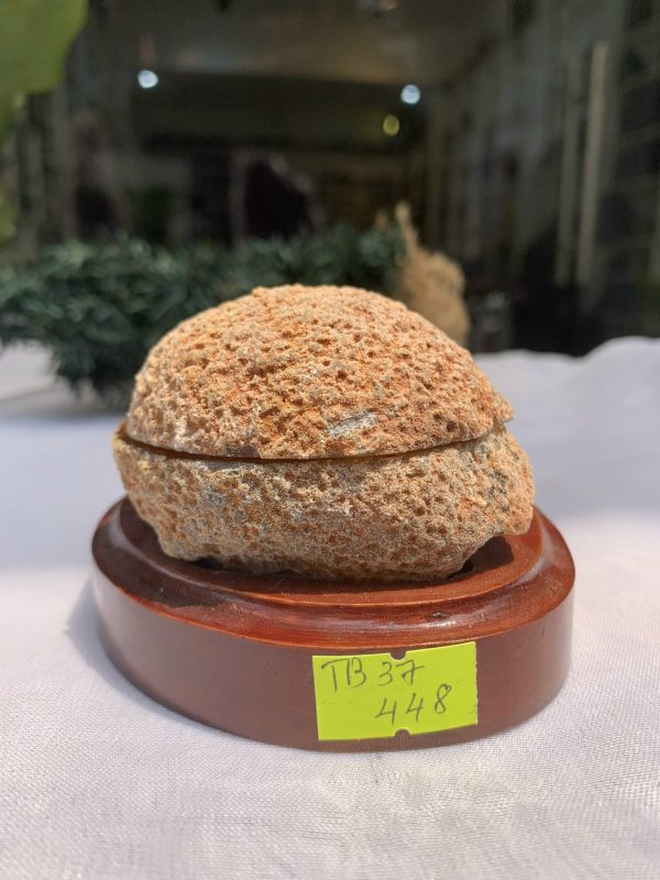 BÁT TỤ BẢO MÃ NÃO KT: 9x7 CM KL: 0.334 KG (MS: TB137)