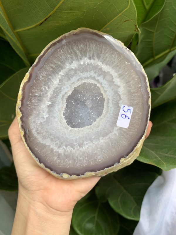 BÁT TỤ BẢO MÃ NÃO KT: 12.3x12 CM KL: 1.238 KG (MS: TB123)