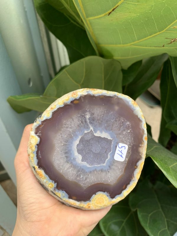 BÁT TỤ BẢO MÃ NÃO KT: 11x10 CM KL: 0.750 KG (MS: TB125)