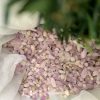 ĐÁ VỤN KURNITE | ĐÁ VỤN PHONG THỦY