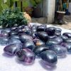 z35058730094Trái tim đá Fluorite cầu vồng, Fluorite nhiều màu | Rainbow Fluorite Heart| Đá thanh tẩy , tarot | CADA DECOR 96_b1ff368751b668991e8fd5cd0269e20c
