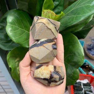 Septarian Freeform -Septarian nhiều hình dáng - Đá sưu tầm, thanh tẩy, thiền định, tarot |